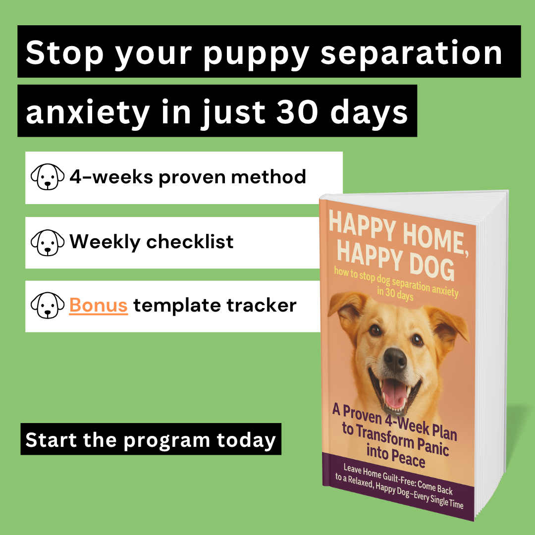 Happy Home, Happy Dog | How to stop dog separation anxiety in 30 days